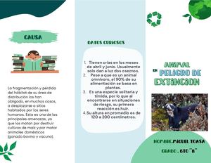 Tríptico del oso de anteojos en peligro