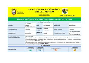 Planificación Microcurricular Del Reda