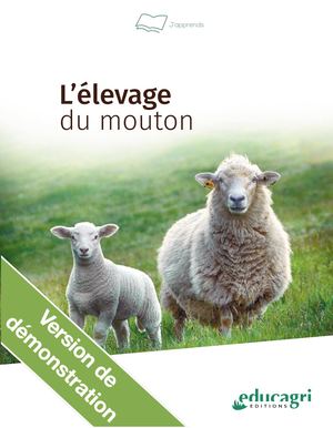 L’élevage du mouton