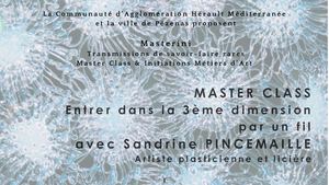 Calaméo - Master Class Sandrine Pincemaille
