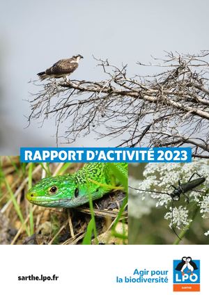Ra 2023