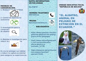 Los albatros en peligro de extinción