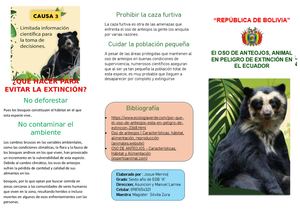 El oso de anteojos animal en peligro de extinción en el Ecuador