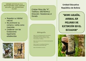 Triptico Mono Araña Cristian Perez (1)