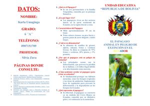 el papagayo  animal en peligro de extincion