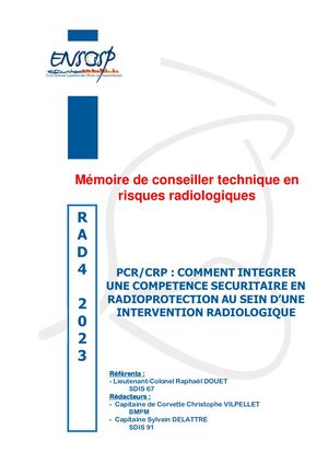 Mémoire Rad4 Vilepellet Delattre