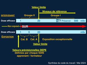 Syntéhse Doses Journée Pcr 2024