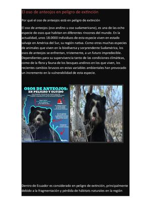 Por Qué El Oso De Anteojos Está En Peligro De Extinción