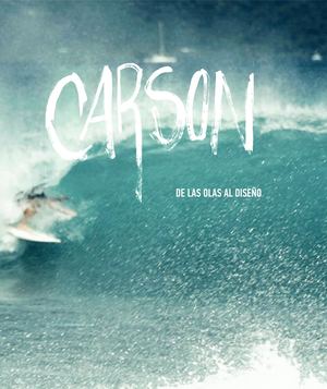 Tp2 Libro | DAVID CARSON; De las olas al diseño