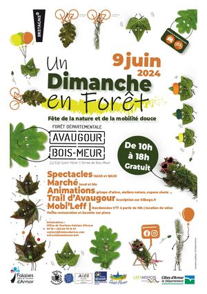 Un dimanche en forêt - PROGRAMME