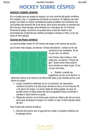 Hockey Vendola 6
