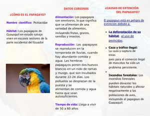 el papagayo animal en peligro de extincion