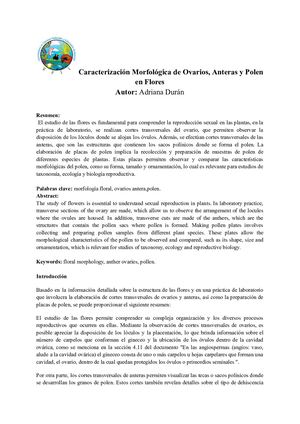 Documento Sin Título (1)