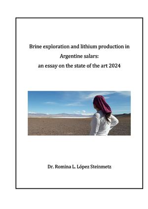 Brine exploration and lithium production in Argentine salars: an essay on the state of the art 2024