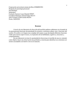 Laboratorio Diseccion Encefalo Terminado 1