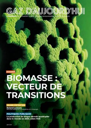 Biomasse : vecteurs de transition