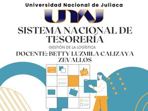 Sistema Nacional De Tesorería