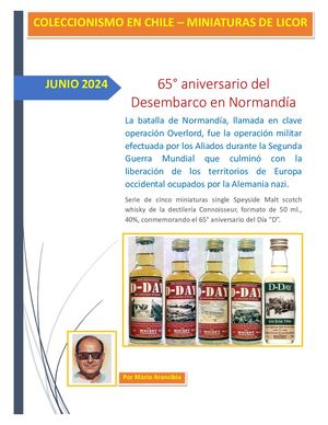 65 Aniversario Dia D La Liberacion De Europa