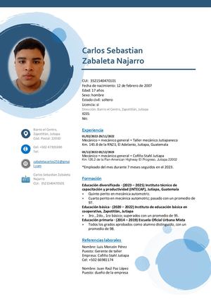 Cv Carlos Sebastian Zabaleta Najarro