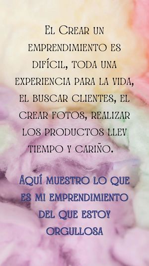 Mi Gran Emprendimiento