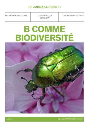 Journal Des 6e B