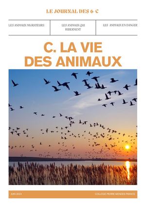 Journal Des 6e C