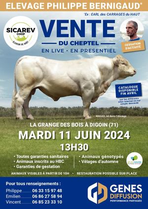 Catalogue de vente Philippe Bernigaud