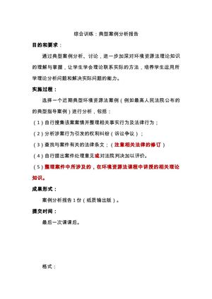 综合训练：案例分析报告