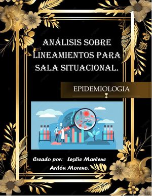 Sala Situacional Lineamientos