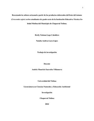 Proyecto Del Totumo Actual A