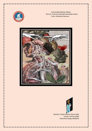 Glosario Anatómico Final