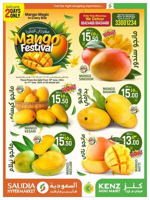 MANGO FEST FLYER DESIGN