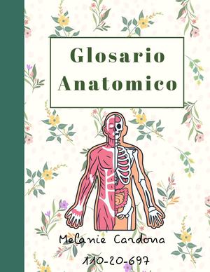 Glosario Anatómico