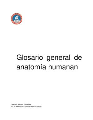 Copia De Abecedarios De Anatomía Humana Johana