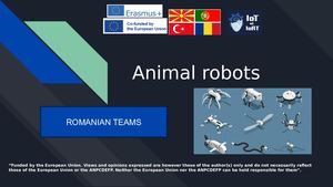 Romania Presentation