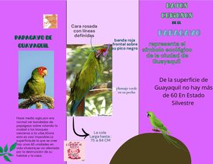 Tríptico Informativo De los animales en peligro de extinción