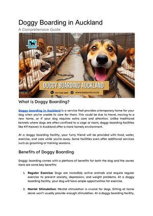 Doggy Boarding In Auckland