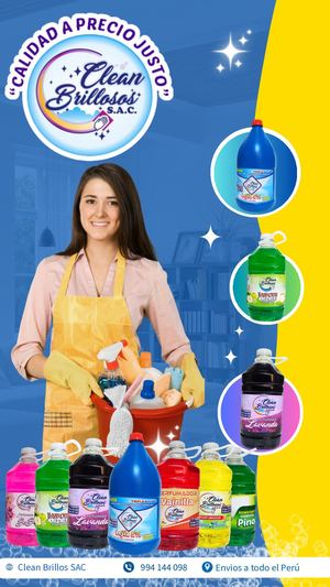 Clean Brillosos S A C