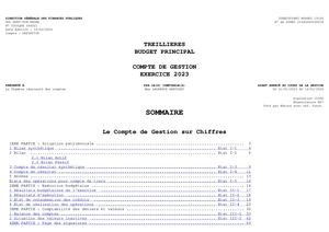 COMPTE DE GESTION 2023