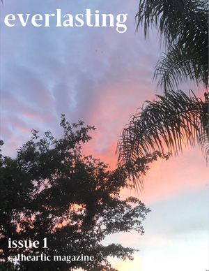 Issue 1: Everlasting