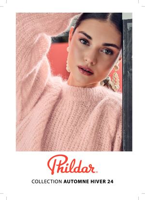 Nuancier Phildar Ah24