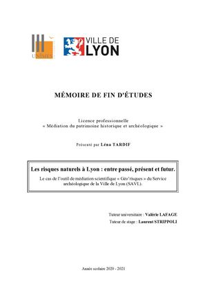 Mémoire Les risques naturels à Lyon : entre passé, présent et futur. Le cas de l’outil de médiation scientifique « Géo’risques » du Service archéologique de la Ville de Lyon (SAVL)