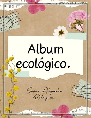 Album Original
