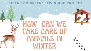 How can we take care of animals in winter