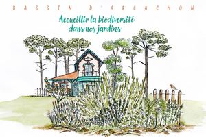 Accueillir la biodiversité dans nos jardins