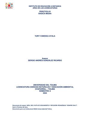 PRÁCTICA PEDAGÓGICA 3