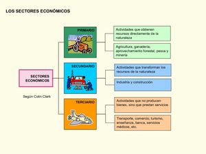 Sectores Economicos