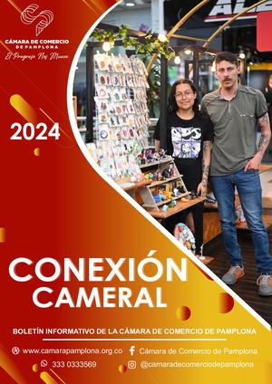 Conexión Cameral - Boletín 4