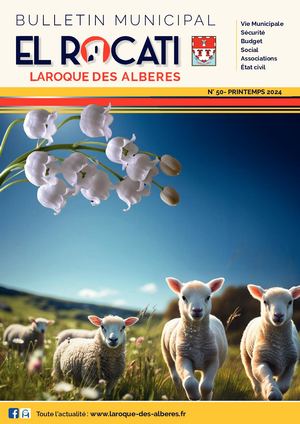 Bulletin municipal n°50