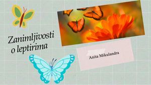 Zanimljivosti O Leptirima